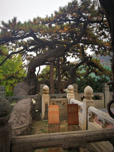 其它 谭柘寺,戒台寺,2020年10月 写美篇潭柘寺 戒台寺