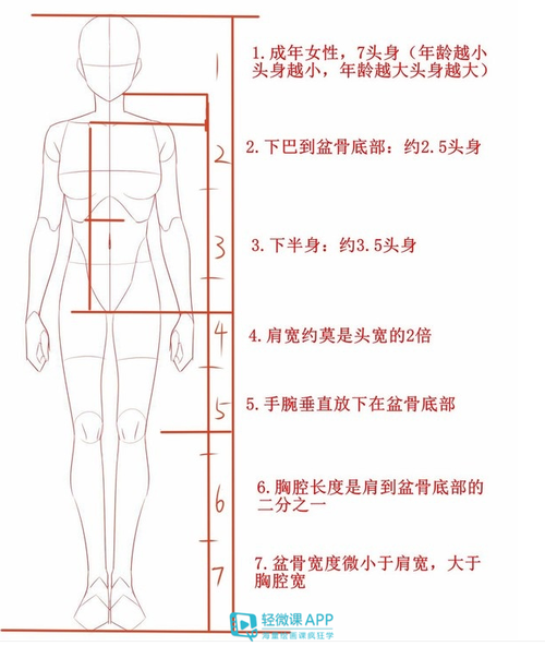 第三步:速写练习人体在经过前面两步的学习之后,对人体结构也有了一个