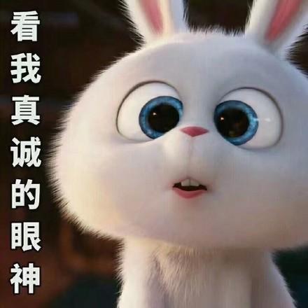 《爱宠大机密》可爱的小白兔字