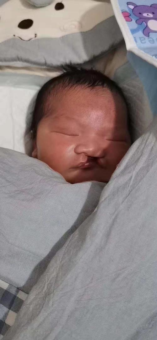 各位家人,我是兔唇宝宝,师父赐我法名:果悯.