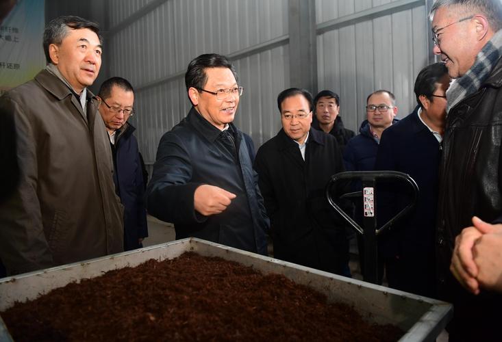 省委副书记,代省长任振鹤12月8日上午来到平凉市泾川县城关镇凤凰村