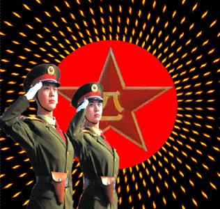 qq图片20140801093751八一军姿.gif