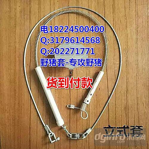 野猪套钢丝套地套专用多功能麂子吊脚套绳套野猪方法.