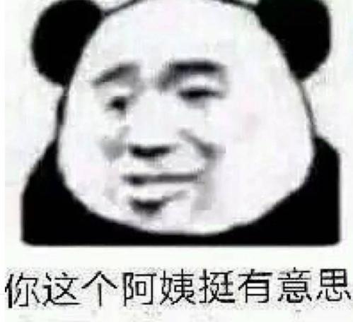 你这个阿姨挺有意思 熊猫头表情包
