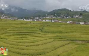 甘洛县