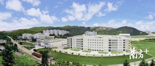 广东省粤东技师学院致力培养高素质技能人才,推动"粤菜师傅"走向世界