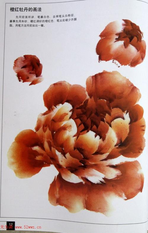 国画教程--写意牡丹画法集锦(2)