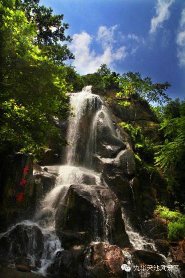 春游江淮请你来森林康养基地推介九华天池景区