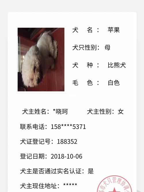 想问一下 有没有人知道 成都办狗证在了办 在哪里办 须要些啥子资料