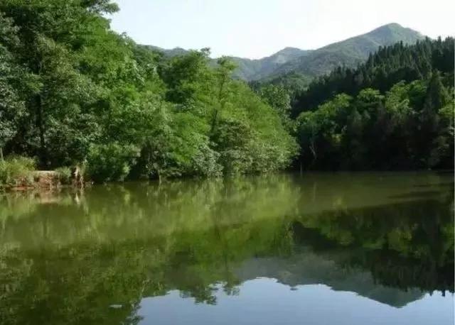 河南洛阳偃师市四个值得一去的旅游景点,喜欢的不要错过了