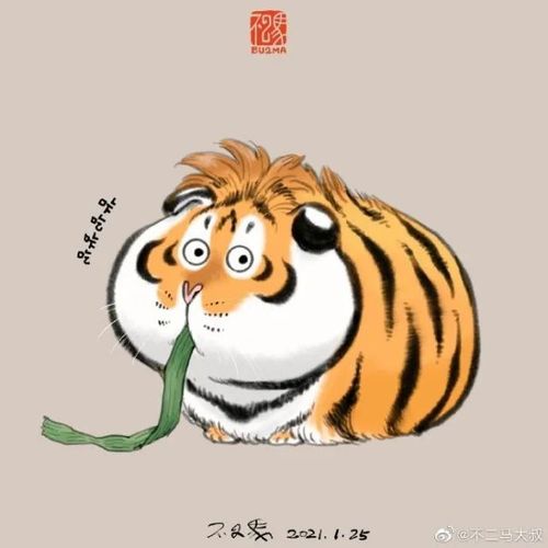只只老虎憨态可掬,还有点蠢傻的样子, 比如像人说的"憨憨" 瞧它们的