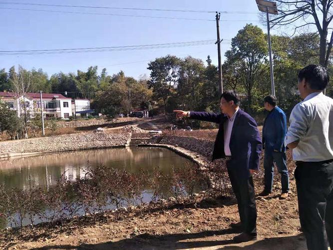 舒城县五显镇大路村先锋网