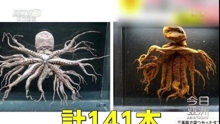 福岛海岸的生蚝,已经变异到如此巨大,请问你敢吃吗?