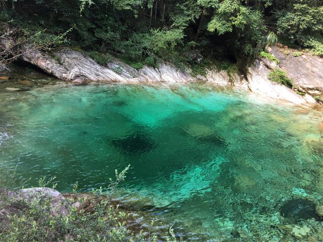 这一潭池水碧绿幽深,妩媚多姿.