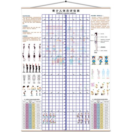 儿童身高体态评估表站姿体测网格壁画背景墙纸中小幼儿形体评估图