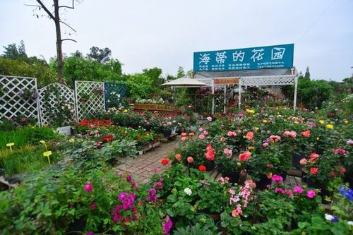 端午节 到"海蒂的花园"感受别样文艺气息