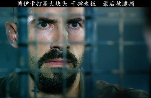 博伊卡大结局最后还是回到了监狱