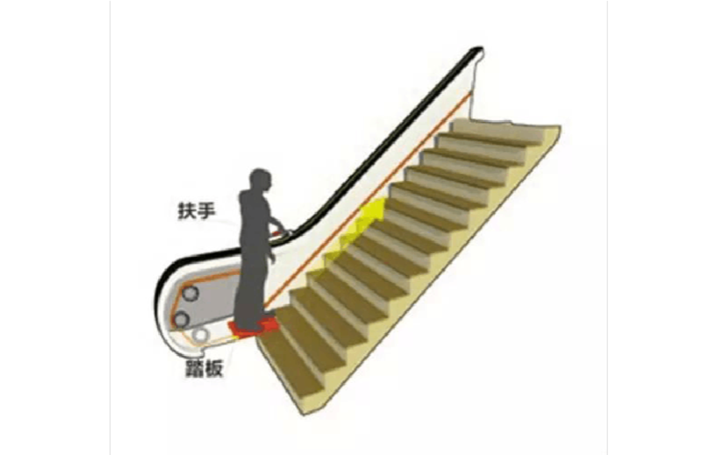 楼道加装自动扶梯