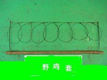 野鸡套