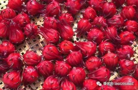 红桃k泡酒主料:红桃k1000g,高度酒5000ml