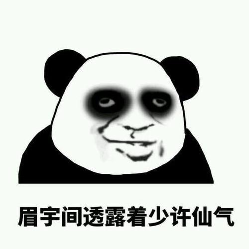 眉宇间透露着少许仙气
