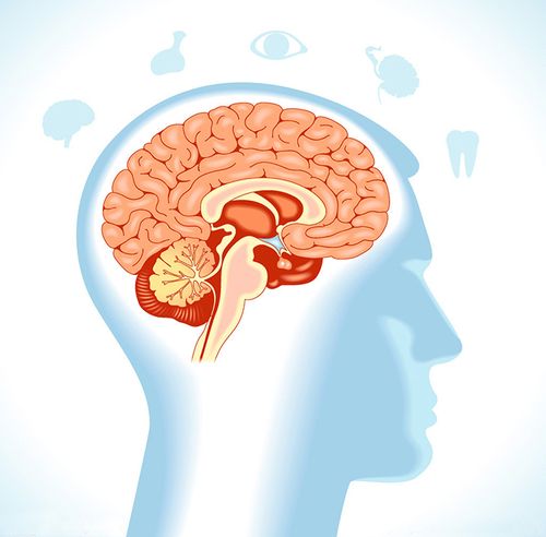 "人机大战"说了那么多 你了解大脑这3个秘密吗