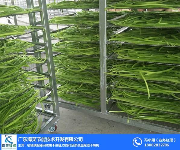 山东贡菜烘干机设备,海笑节能技术,超省钱的贡菜烘干机设备
