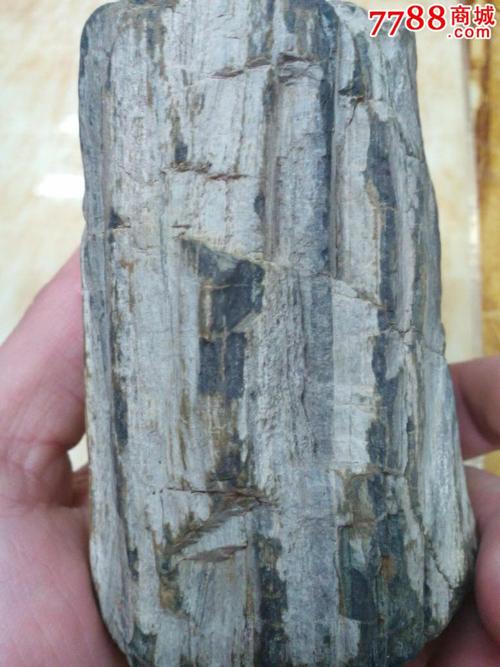 木化石原石
