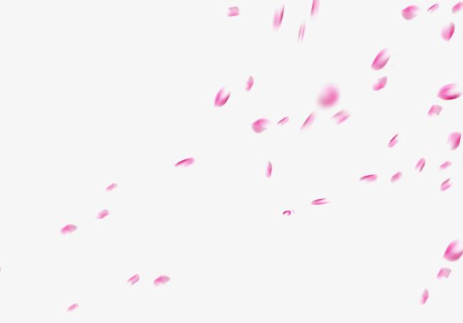 飘落的花瓣