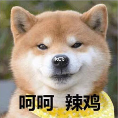 【今日表情包】|沙雕狗子表情包_表情包_我最爱的表情
