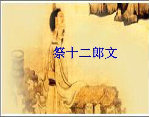 高二语文祭十二郎文课件示例ppt