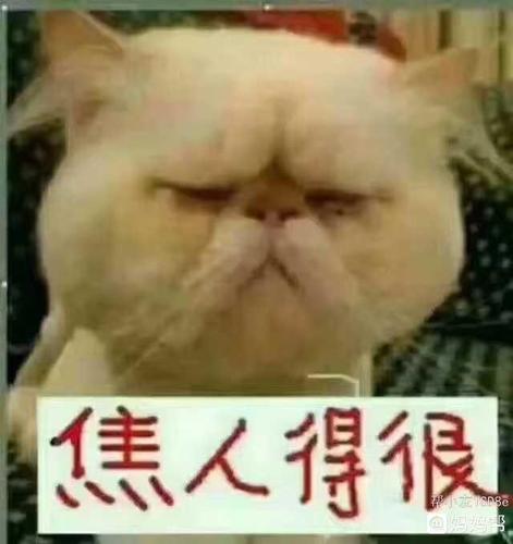 还真是焦人得啊