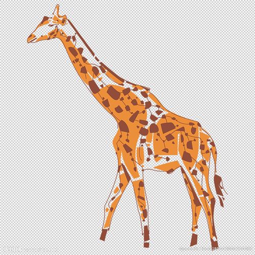 卡通长颈鹿图片
