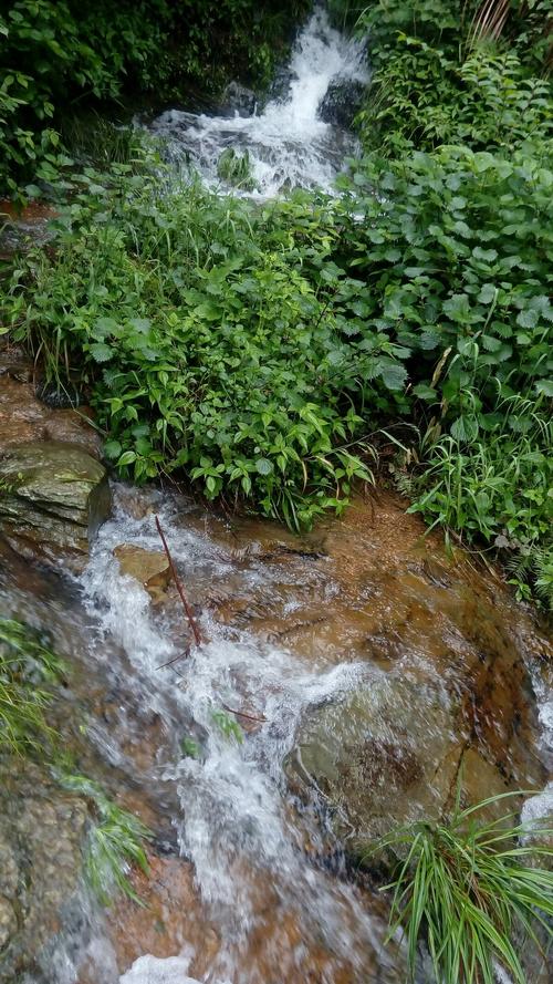 山间的溪水清澈见底