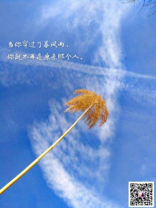 好的时候记得苛刻自己,难的时候记得放过自己!