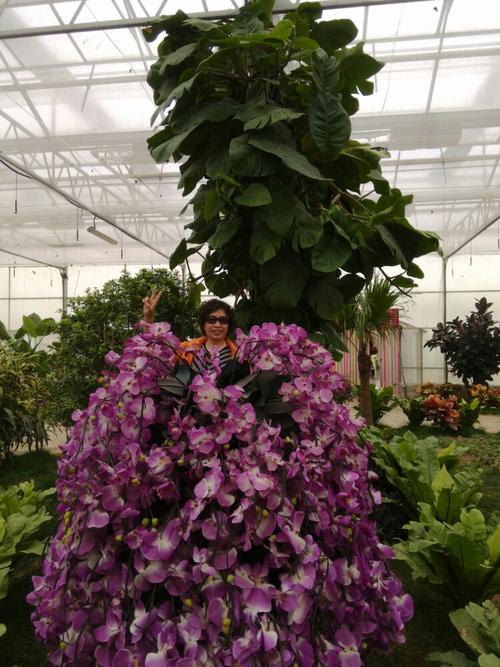 看看我照的美不美(顺义鲜花港,蝴蝶园)留影