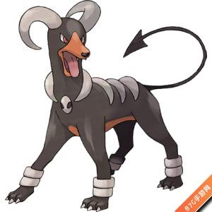 口袋妖怪复刻黑鲁加什么性格好 黑鲁加性格解析