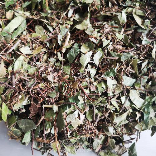 络石藤 无硫络石藤批发市场