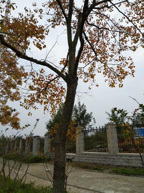 湖北省武汉市江夏区佛祖岭街道佛祖岭西路武汉鼎杰现代信息孵化园天气