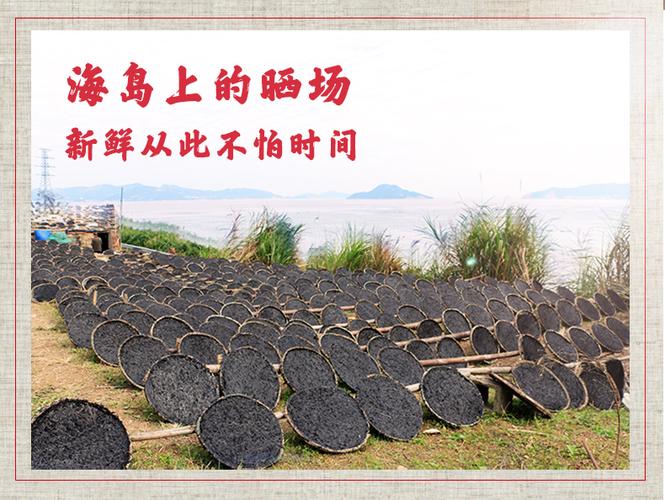 星仔岛手工紫菜100g 天然紫菜干货免洗无纱海鲜温州当地特产