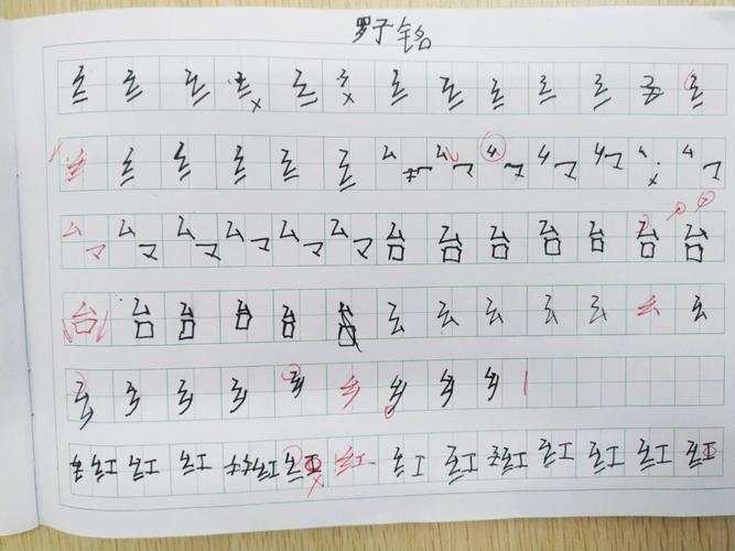 &仟叶—壹舟硬笔书法&