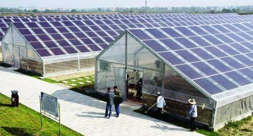 新型薄膜太阳能光伏农业大棚 太阳能发电大棚 寿光华天