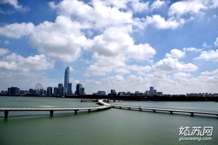 桥梁位于金鸡湖慢行绿道南段   全长883米   是一座大跨度的水上桥