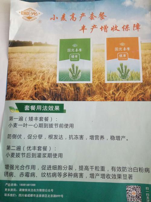 小麦高产套餐:矮丰套餐 优丰套餐.