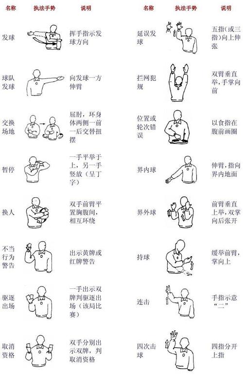 排球主裁判手势
