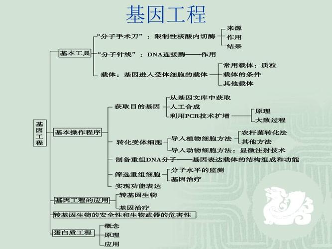 选修三现代生物科技专题知识框架