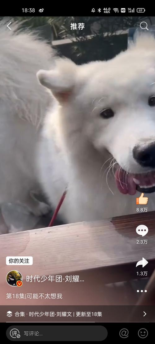 刘耀文!请速速放出和土豆的合照!十八宫格!