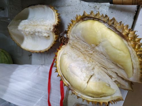 水果店偷俺的榴莲肉