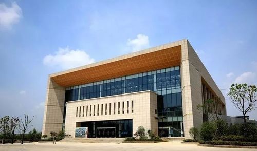 艺考 安徽专科院校 民办合肥财经职业学院 新媒体 公众号 合肥财经