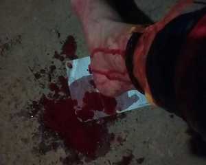 每天一幅画(11月7日)